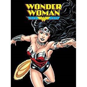New Wonder Woman Logo Soft Fleece Throw Gift Blanket DC Comic Justice League NIP